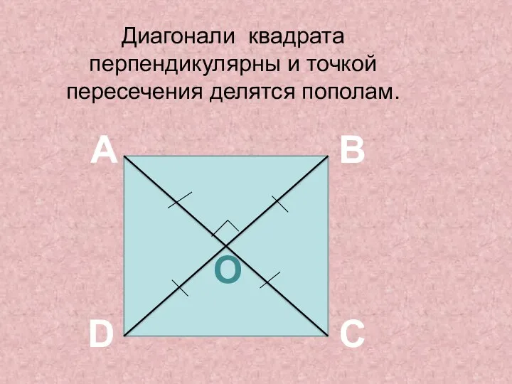Диагонали квадрата перпендикулярны и точкой пересечения делятся пополам. A B C D О
