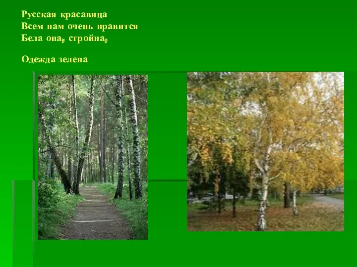 Русская красавица Всем нам очень нравится Бела она, стройна, Одежда зелена