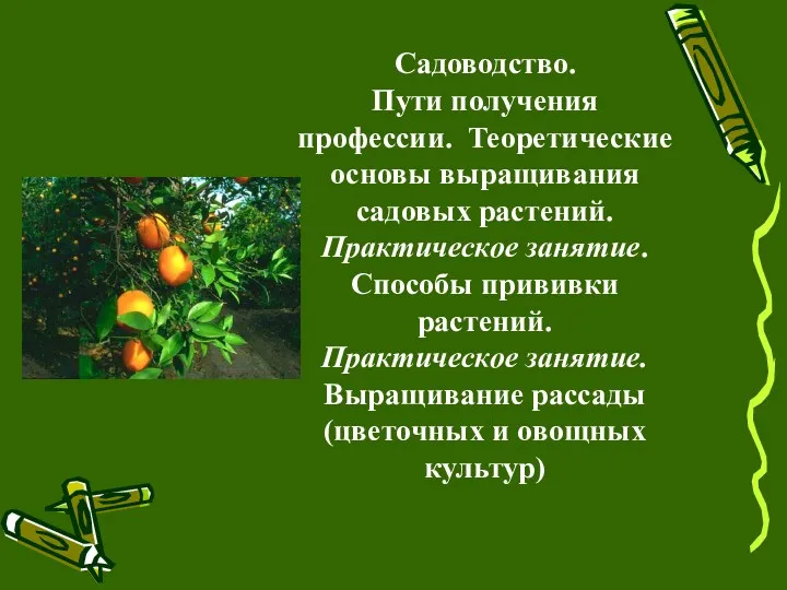 Садоводство. Пути получения профессии. Теоретические основы выращивания садовых растений. Практическое