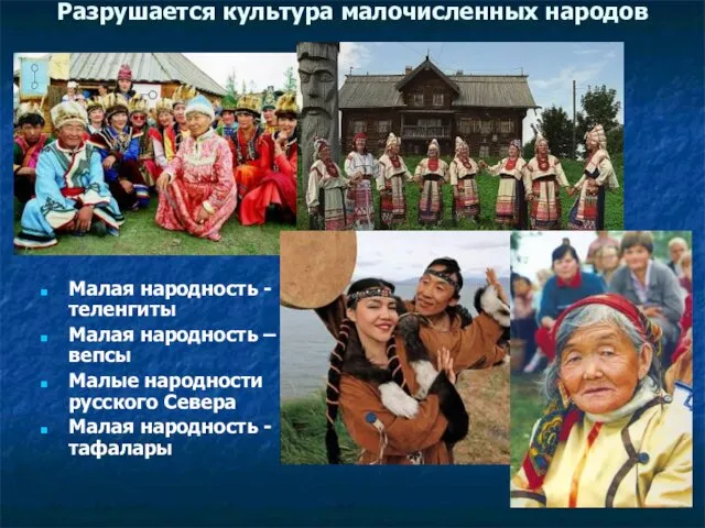 Разрушается культура малочисленных народов Малая народность -теленгиты Малая народность –