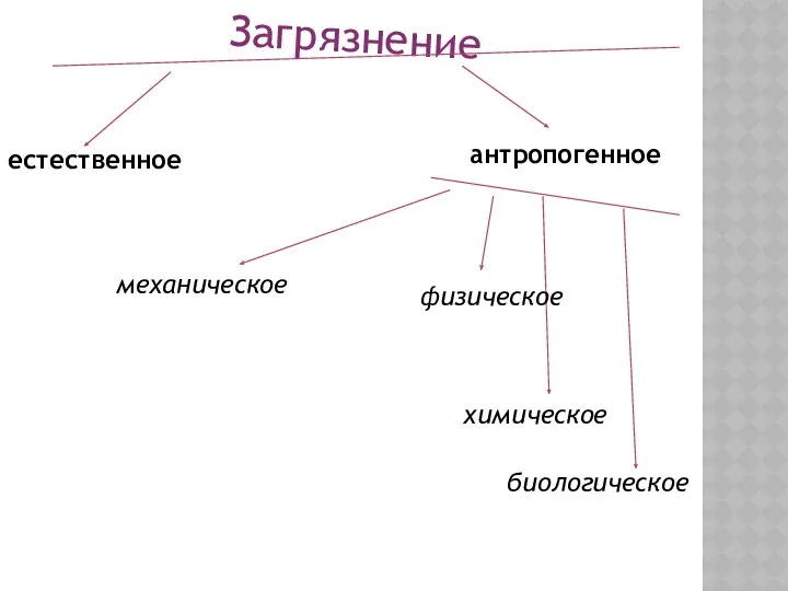 Загрязнение естественное антропогенное химическое механическое физическое биологическое