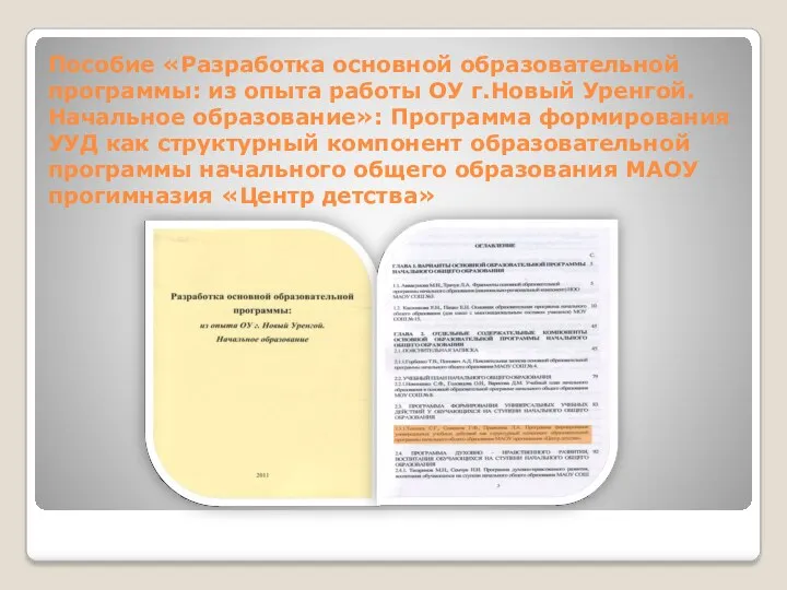 Пособие «Разработка основной образовательной программы: из опыта работы ОУ г.Новый