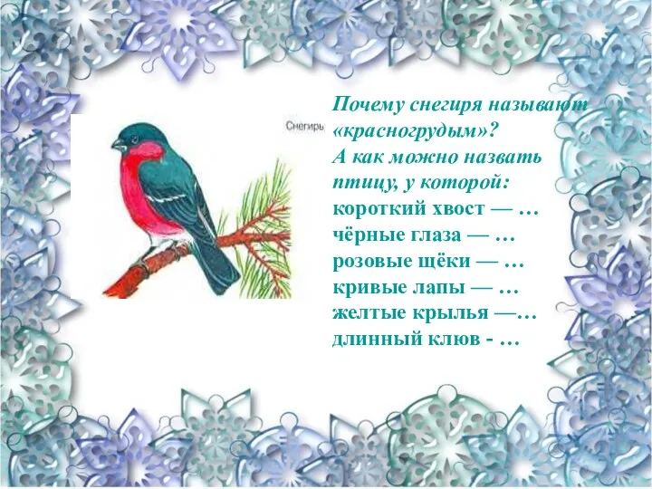 Почему снегиря называют «красногрудым»? А как можно назвать птицу, у которой: короткий хвост