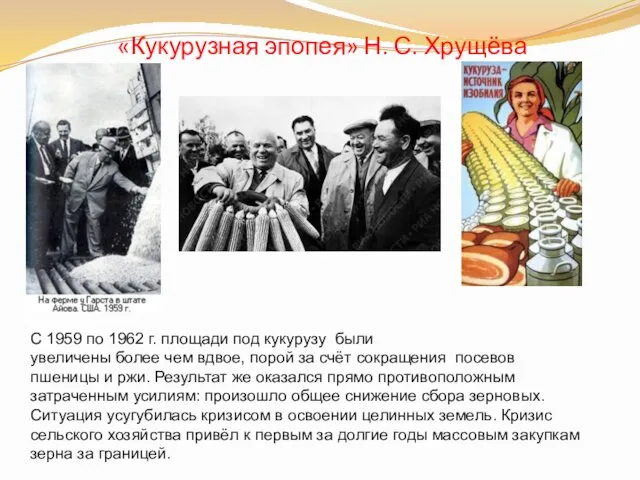 «Кукурузная эпопея» Н. С. Хрущёва С 1959 по 1962 г.