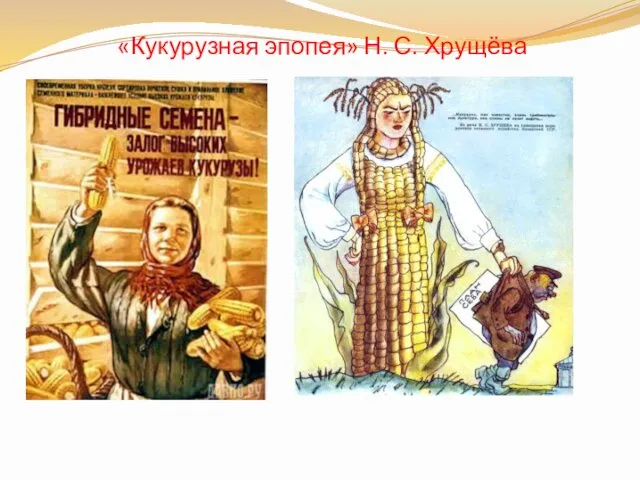 «Кукурузная эпопея» Н. С. Хрущёва