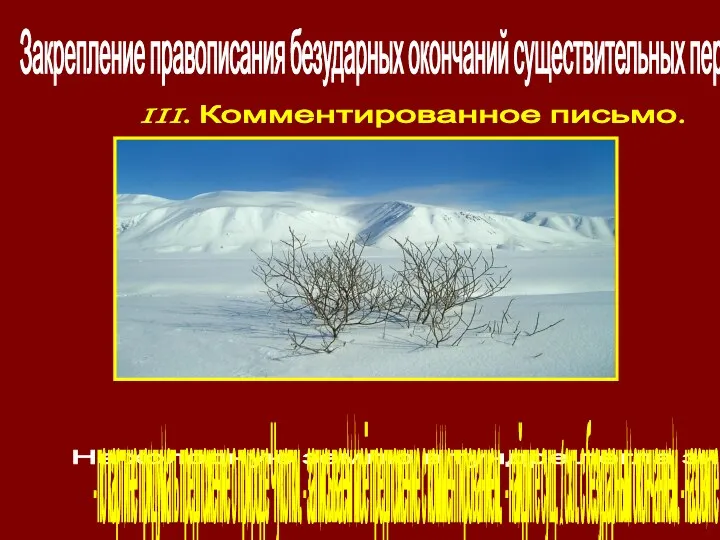 Закрепление правописания безударных окончаний существительных первого склонения. III. Комментированное письмо.