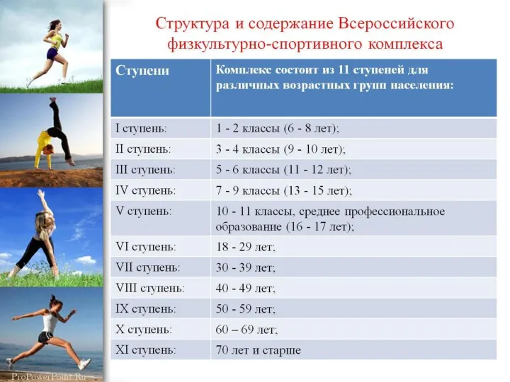 Структура и содержание Всероссийского физкультурно-спортивного комплекса