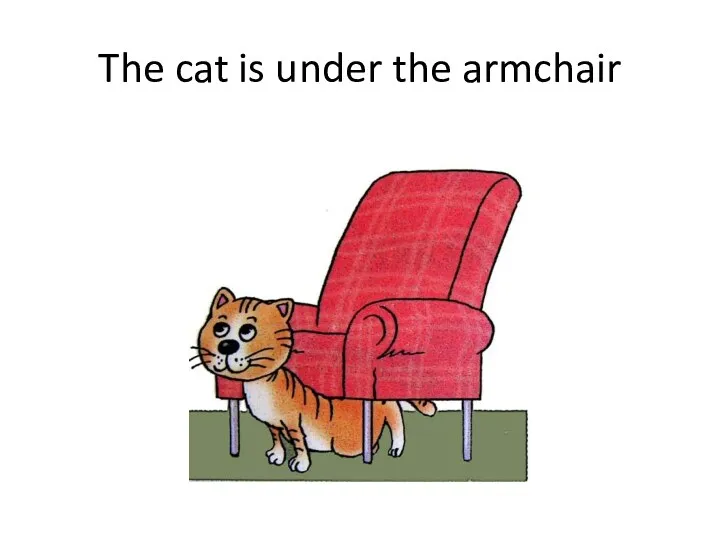 The cat is under the armchair