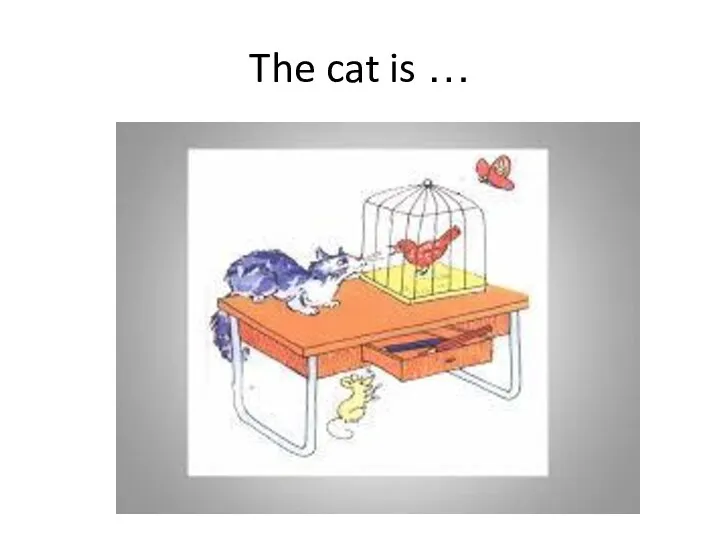 The cat is …