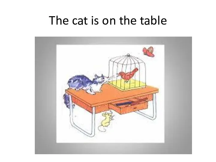 The cat is on the table