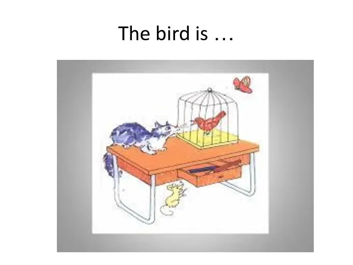 The bird is …