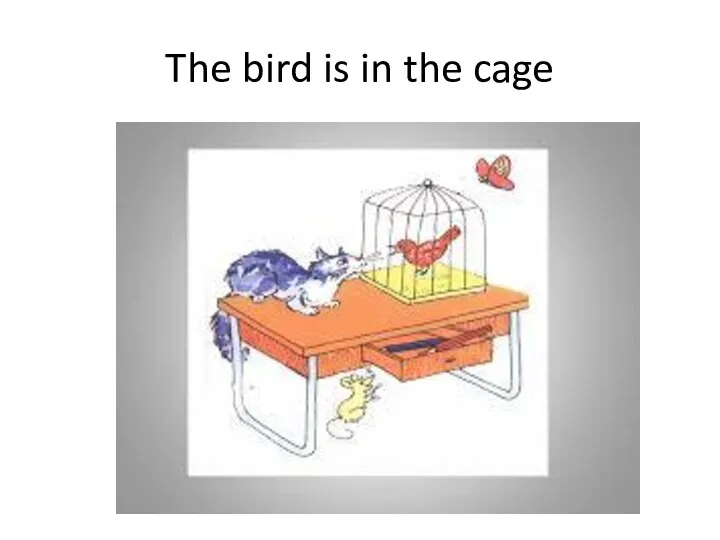 The bird is in the cage