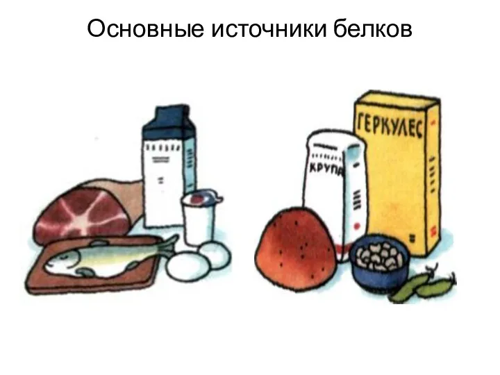 Основные источники белков