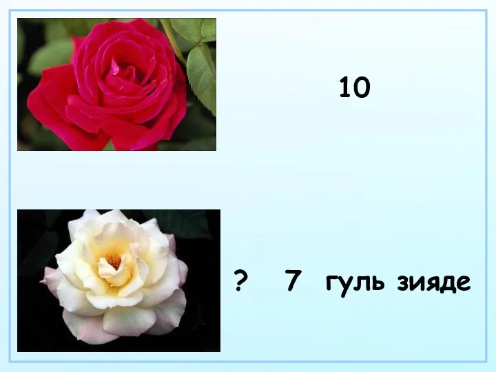 10 ? 7 гуль зияде