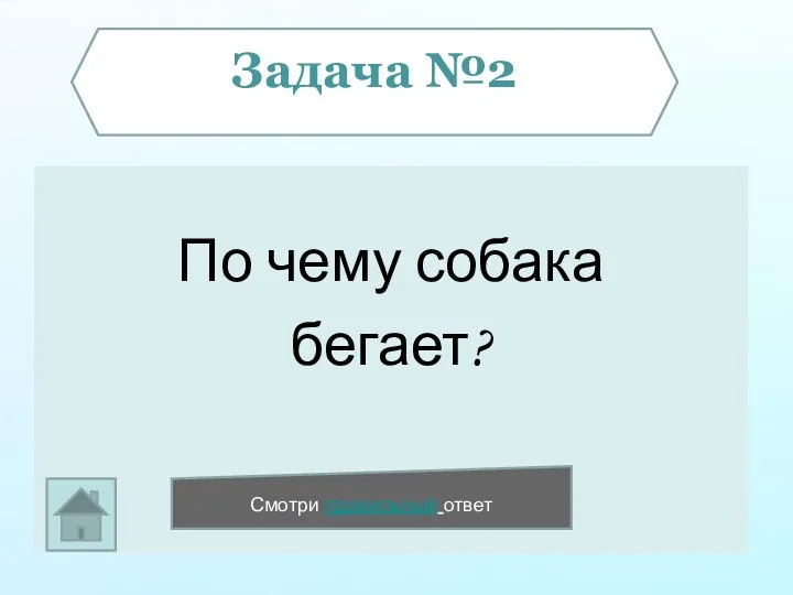 По чему собака бегает? Задача №2 ЗЗ Смотри правильный ответ