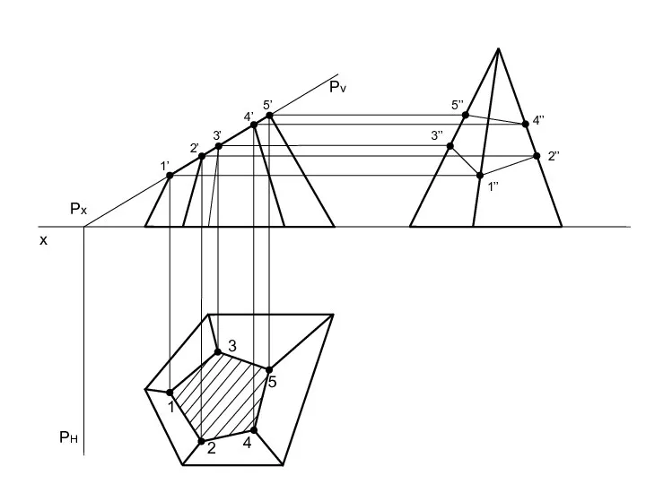 x Pv Px 1’ 2’ 3’ 4’ 5’ 1 3