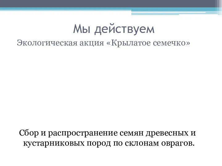 Мы действуем Экологическая акция «Крылатое семечко» Сбор и распространение семян