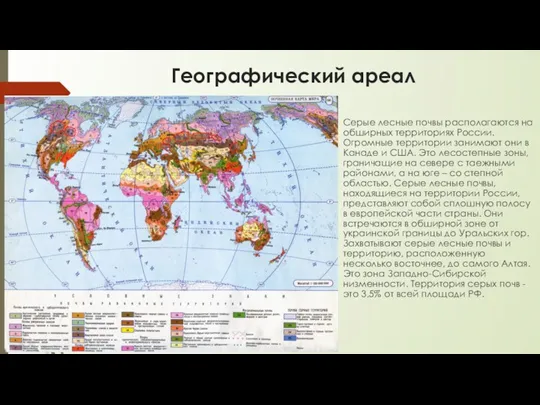 Географический ареал Серые лесные почвы располагаются на обширных территориях России.