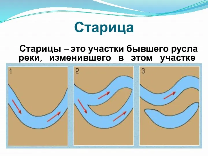 Старица Старицы – это участки бывшего русла реки, изменившего в этом участке свое направление.