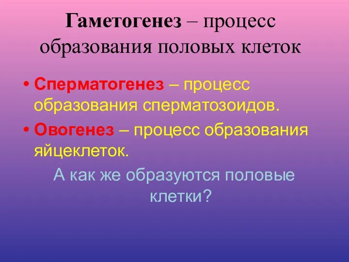 Гаметогенез – процесс образования половых клеток Сперматогенез – процесс образования