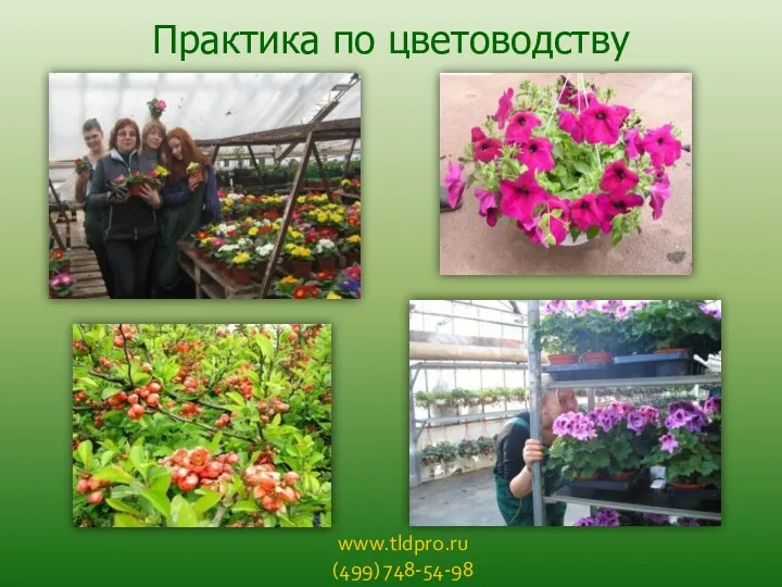 www.tldpro.ru (499) 748-54-98 Практика по цветоводству