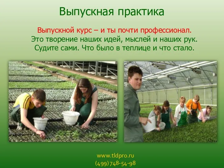 www.tldpro.ru (499) 748-54-98 Выпускная практика Выпускной курс – и ты