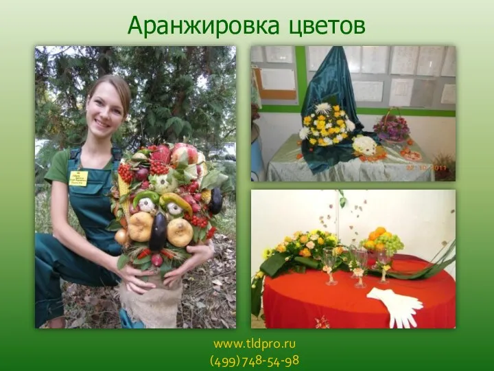 www.tldpro.ru (499) 748-54-98 Аранжировка цветов