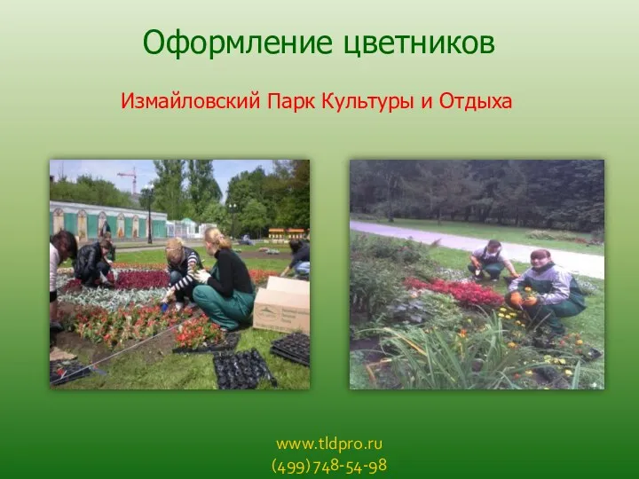 www.tldpro.ru (499) 748-54-98 Оформление цветников Измайловский Парк Культуры и Отдыха