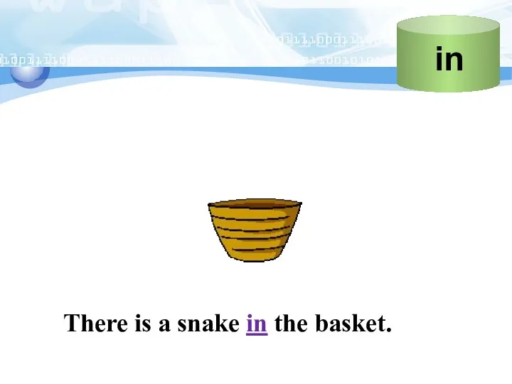 There is a snake in the basket.