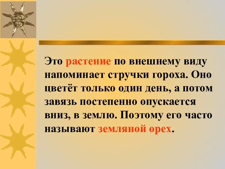 Это растение по внешнему виду напоминает стручки гороха. Оно цветёт