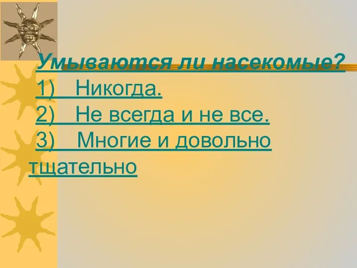 Умываются ли насекомые? 1) Никогда. 2) Не всегда и не все. 3) Многие и довольно тщательно