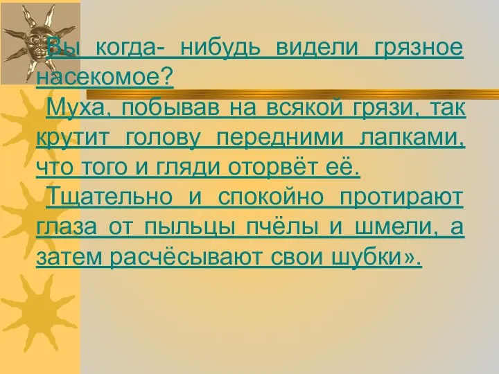 Вы когда- нибудь видели грязное насекомое? Муха, побывав на всякой