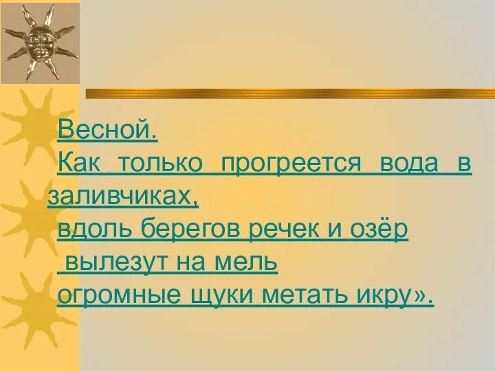 Весной. Как только прогреется вода в заливчиках, вдоль берегов речек