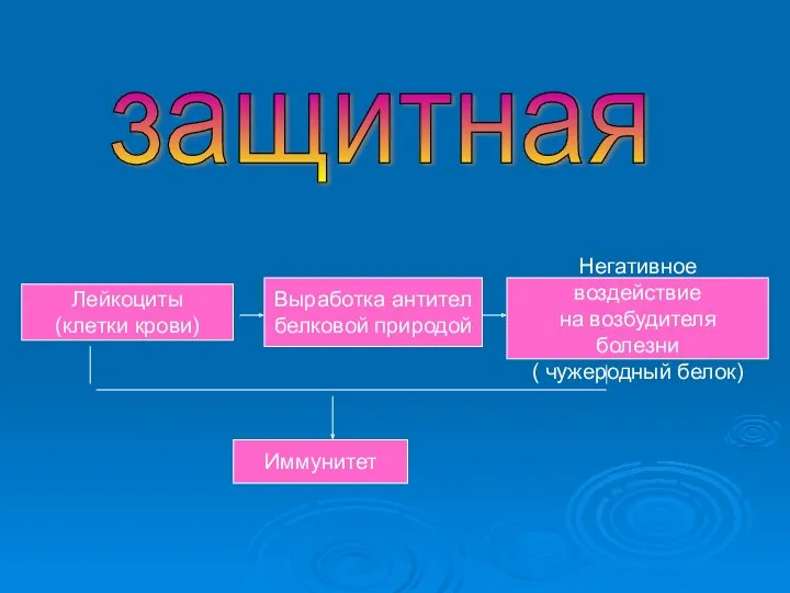 защитная Выработка антител белковой природой Негативное воздействие на возбудителя болезни