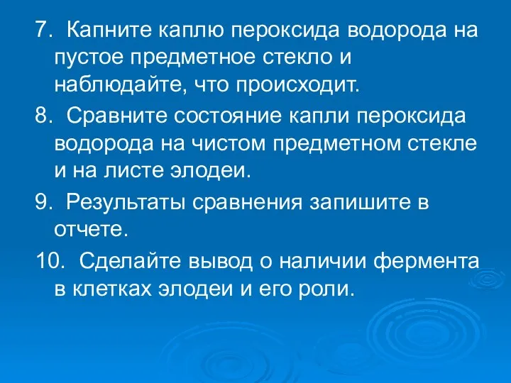 7. Капните каплю пероксида водорода на пустое предметное стекло и