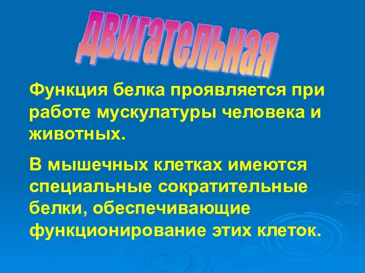 двигательная Функция белка проявляется при работе мускулатуры человека и животных.