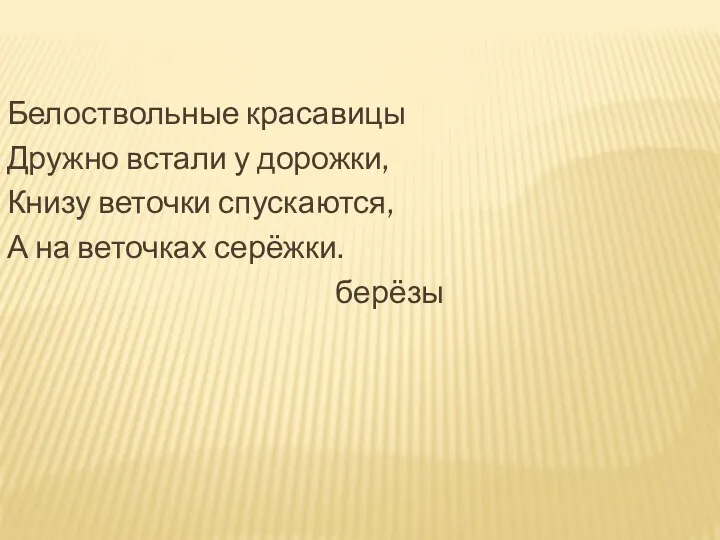 Белоствольные красавицы Дружно встали у дорожки, Книзу веточки спускаются, А на веточках серёжки. берёзы