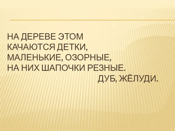 На дереве этом Качаются детки, Маленькие, озорные, На них шапочки резные. Дуб, жёлуди.