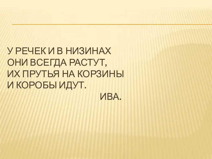 У речек и в низинах Они всегда растут, Их прутья на корзины И коробы идут. Ива.