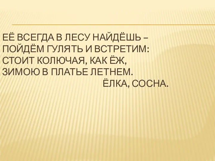 Её всегда в лесу найдёшь – Пойдём гулять и встретим: Стоит колючая, как