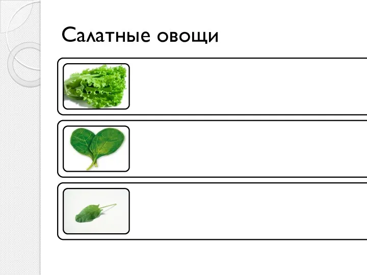 Салатные овощи