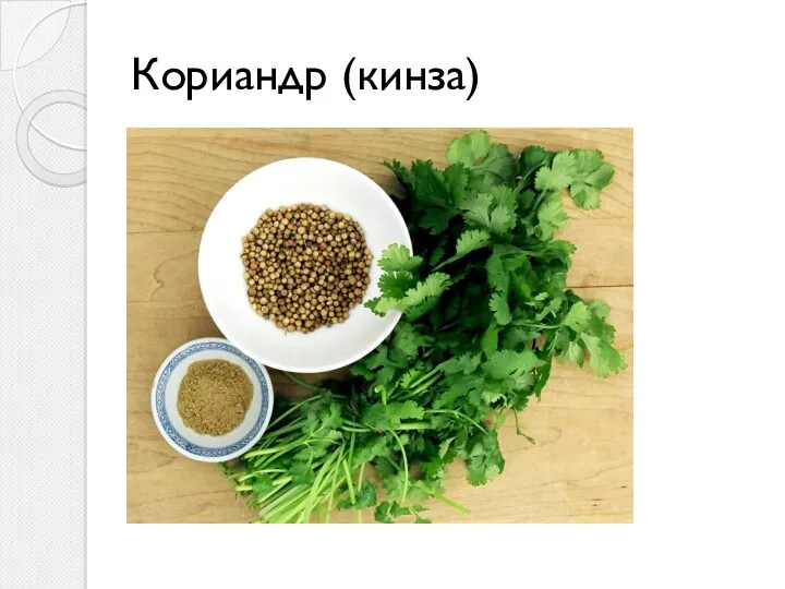 Кориандр (кинза)