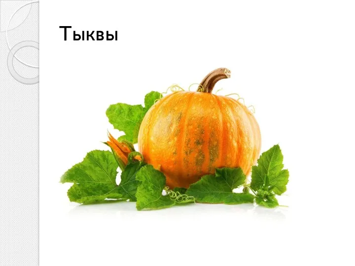 Тыквы