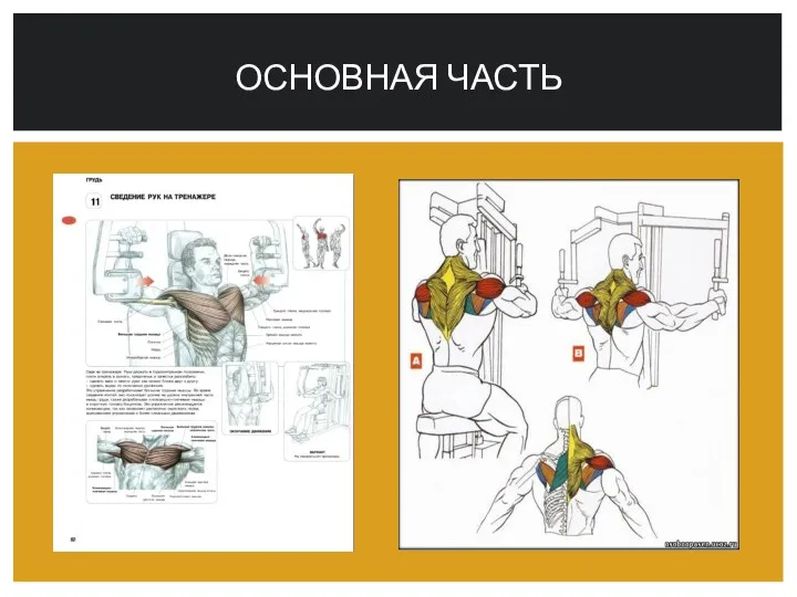 Основная часть