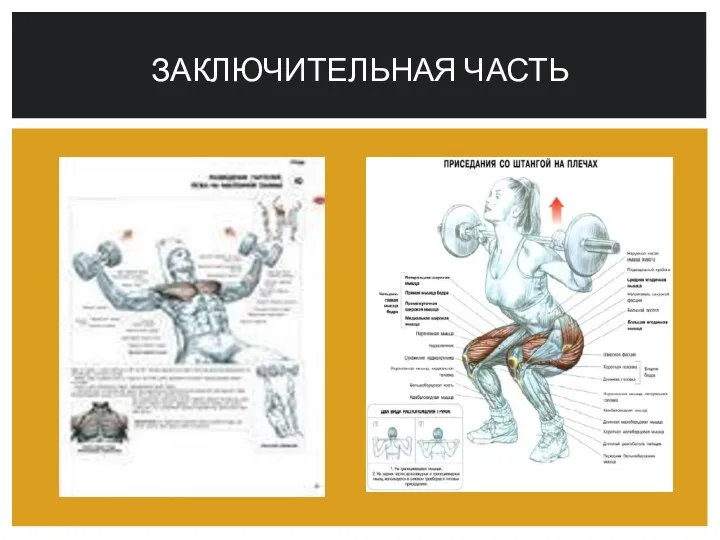 Заключительная часть