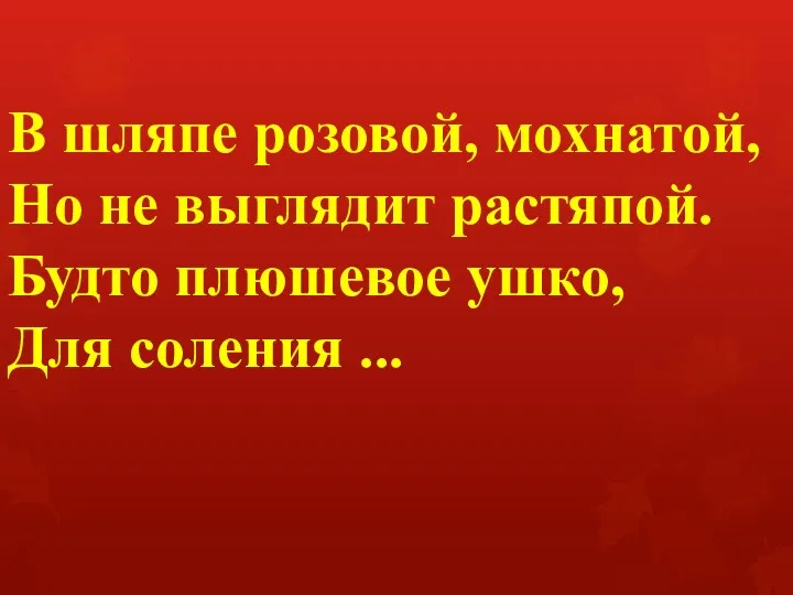 В шляпе розовой, мохнатой, Но не выглядит растяпой. Будто плюшевое ушко, Для соления ...