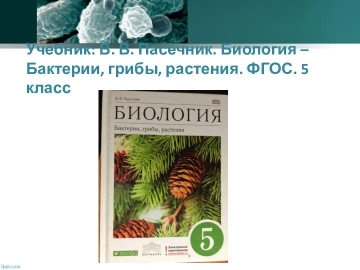 Учебник: В. В. Пасечник. Биология – Бактерии, грибы, растения. ФГОС. 5 класс