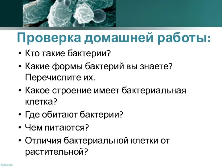 Проверка домашней работы: Кто такие бактерии? Какие формы бактерий вы