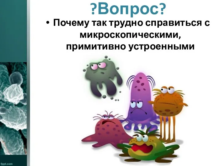 ?Вопрос? Почему так трудно справиться с микроскопическими, примитивно устроенными организмами?