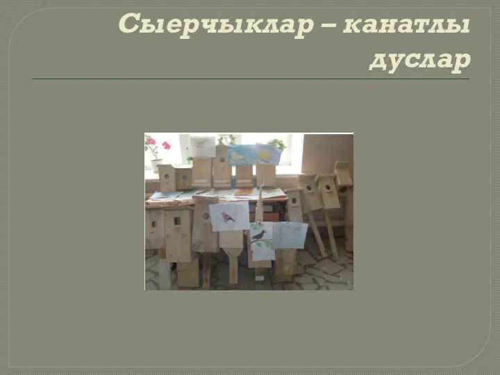 Сыерчыклар – канатлы дуслар